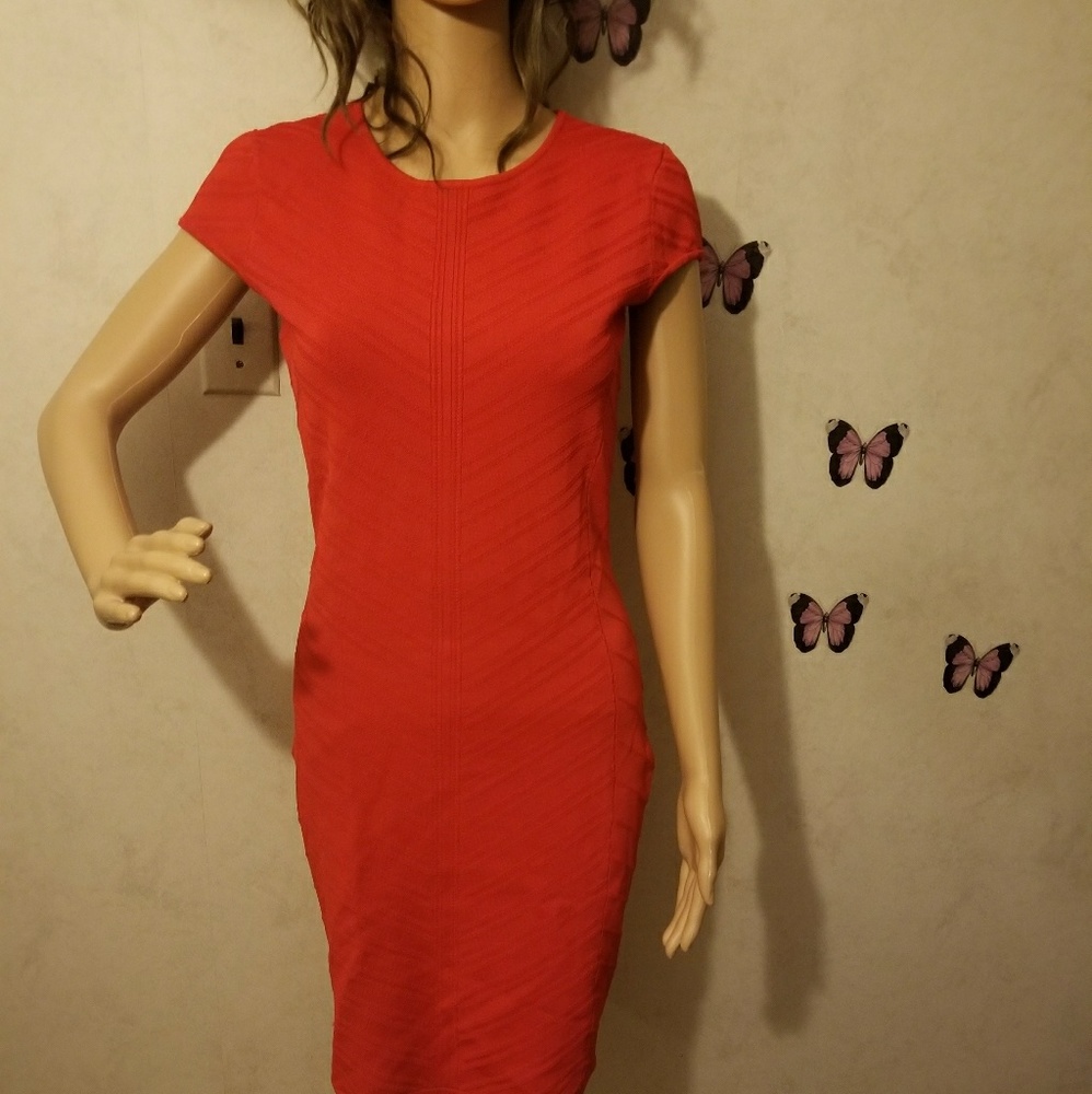 Cache bodycon medium color ted with zipper